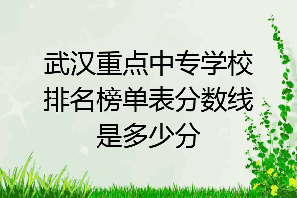 武汉重点中专学校排名榜单表分数线是多少分