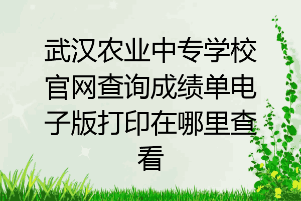 武汉农业中专学校官网查询成绩单电子版打印在哪里查看
