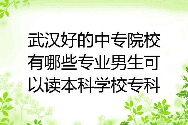 武汉好的中专院校有哪些专业男生可以读本科学校专科