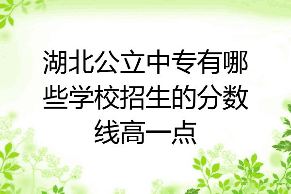 湖北公立中专有哪些学校招生的分数线高一点