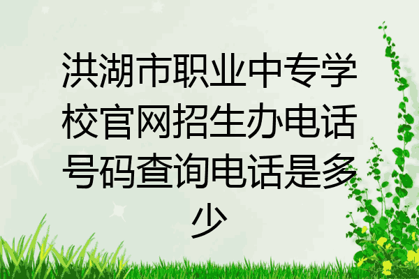 洪湖市职业中专学校官网招生办电话号码查询电话是多少