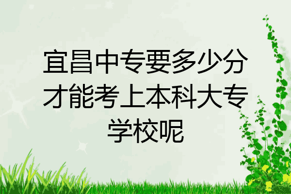 宜昌中专要多少分才能考上本科大专学校呢