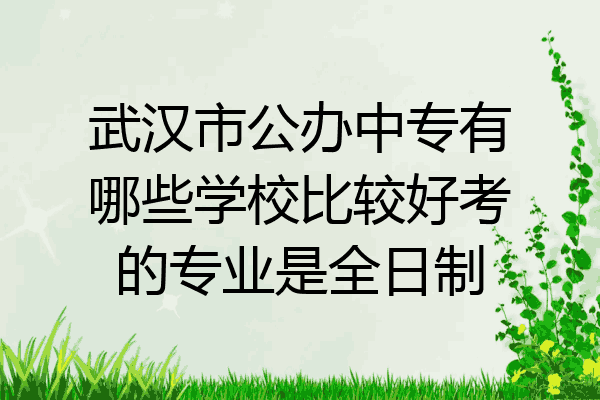武汉市公办中专有哪些学校比较好考的专业是全日制