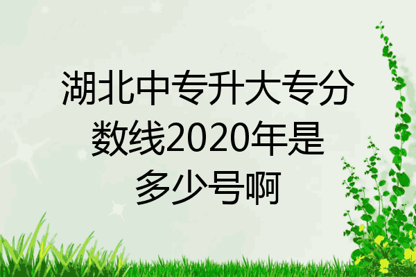 湖北中专升大专分数线2020年是多少号啊