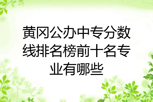 黄冈公办中专分数线排名榜前十名专业有哪些