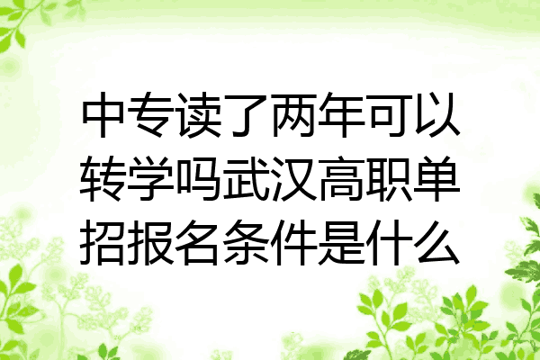 中专读了两年可以转学吗武汉高职单招报名条件是什么