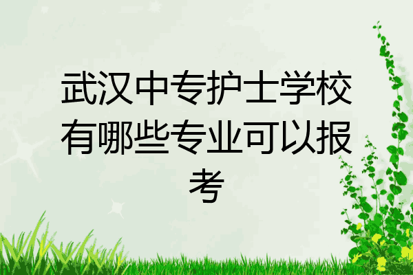 武汉中专护士学校有哪些专业可以报考