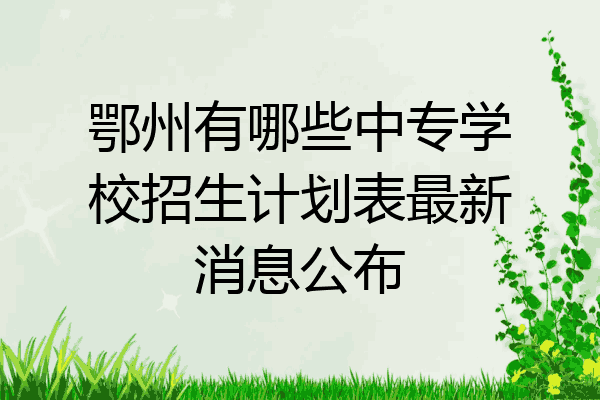 鄂州有哪些中专学校招生计划表最新消息公布