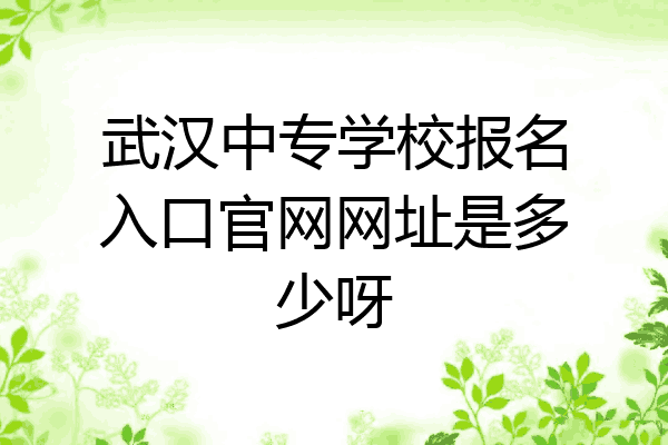 武汉中专学校报名入口官网网址是多少呀