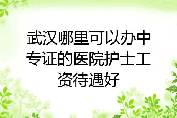 武汉哪里可以办中专证的医院护士工资待遇好