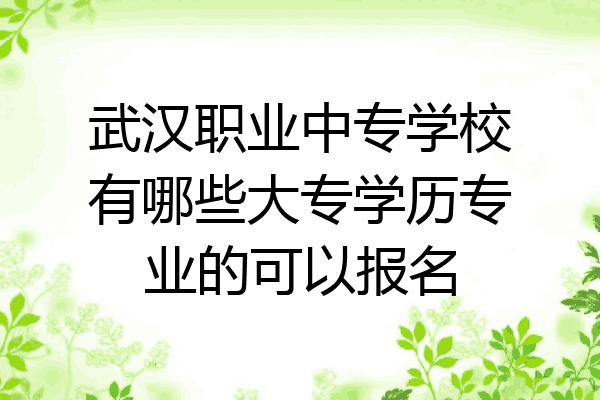 武汉职业中专学校有哪些大专学历专业的可以报名