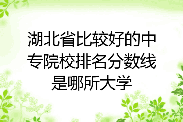 湖北省比较好的中专院校排名分数线是哪所大学