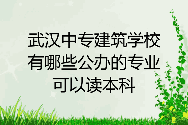 武汉中专建筑学校有哪些公办的专业可以读本科