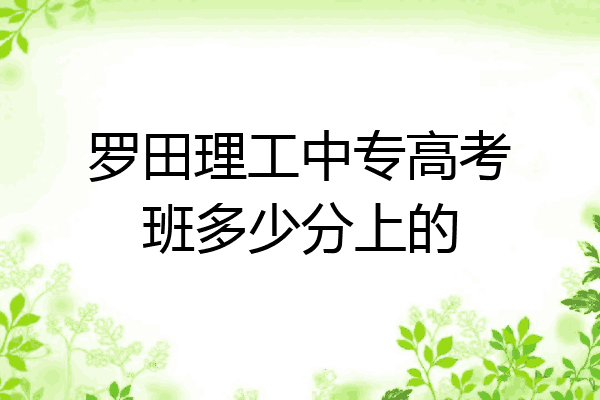 罗田理工中专高考班多少分上的