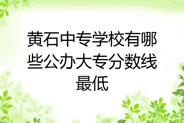 黄石中专学校有哪些公办大专分数线最低