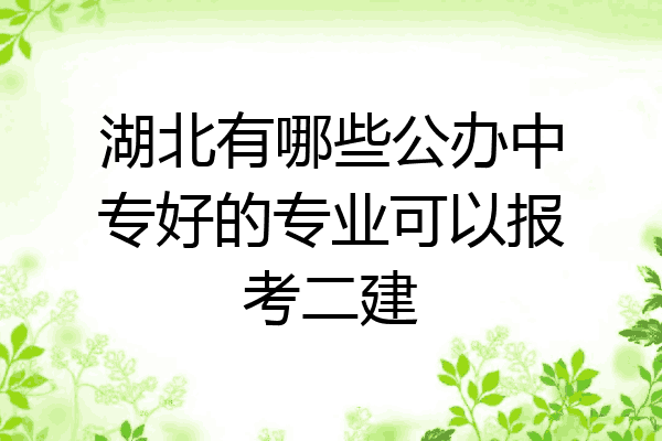 湖北有哪些公办中专好的专业可以报考二建