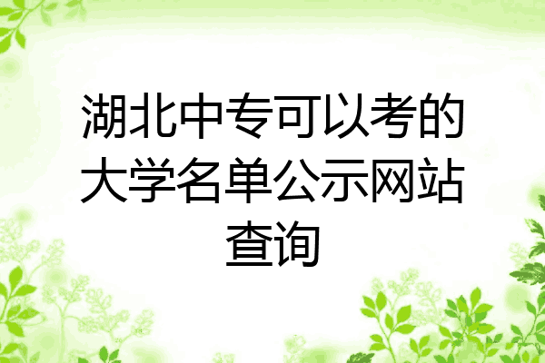 湖北中专可以考的大学名单公示网站查询