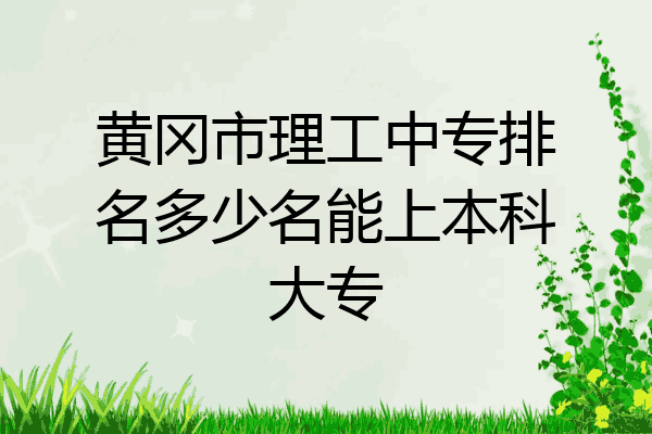 黄冈市理工中专排名多少名能上本科大专