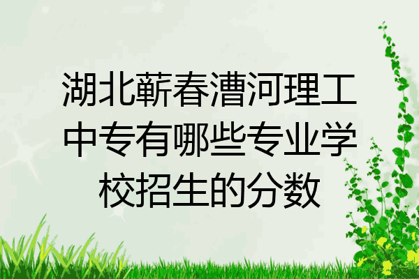 湖北蕲春漕河理工中专有哪些专业学校招生的分数