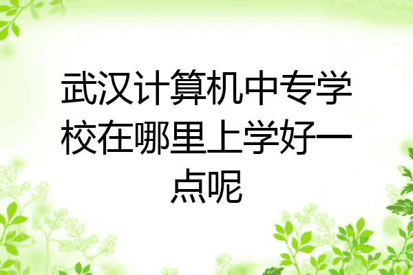 武汉计算机中专学校在哪里上学好一点呢