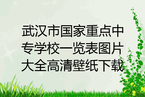 武汉市国家重点中专学校一览表图片大全高清壁纸下载