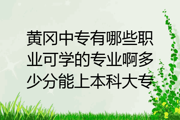 黄冈中专有哪些职业可学的专业啊多少分能上本科大专