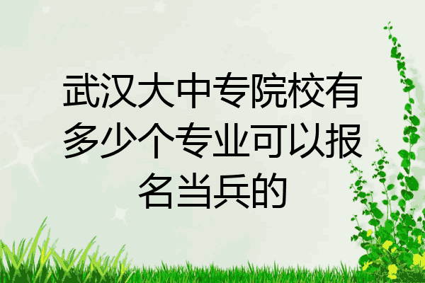 武汉大中专院校有多少个专业可以报名当兵的