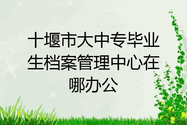 十堰市大中专毕业生档案管理中心在哪办公