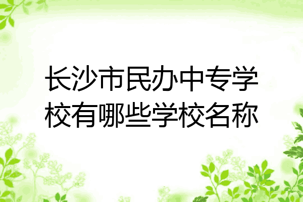 长沙市民办中专学校有哪些学校名称