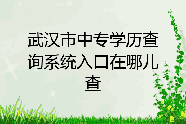 武汉市中专学历查询系统入口在哪儿查