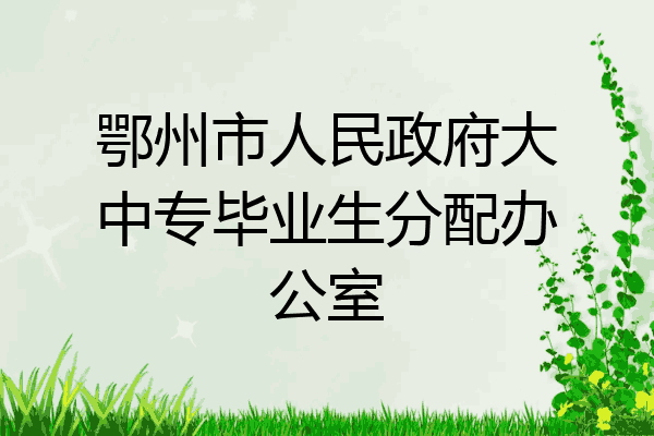 鄂州市人民政府大中专毕业生分配办公室