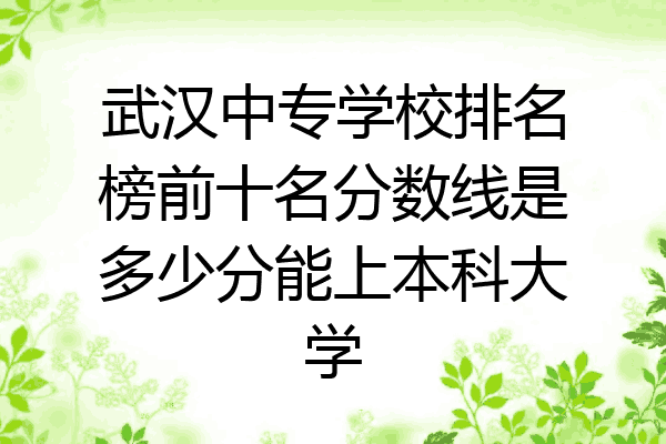 武汉中专学校排名榜前十名分数线是多少分能上本科大学