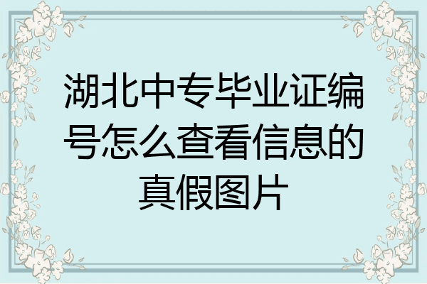 湖北中专毕业证编号怎么查看信息的真假图片