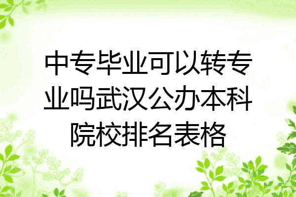中专毕业可以转专业吗武汉公办本科院校排名表格