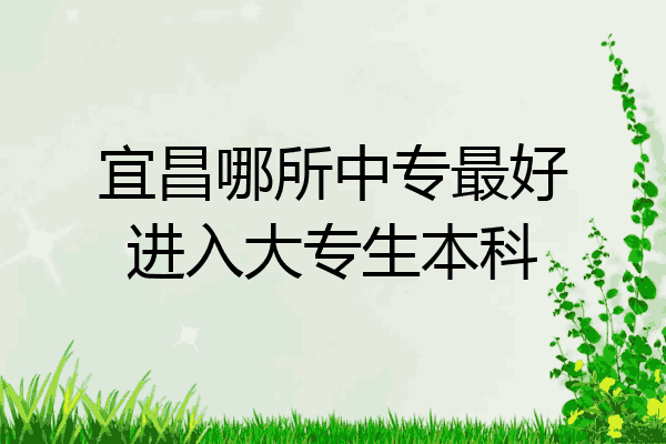 宜昌哪所中专最好进入大专生本科