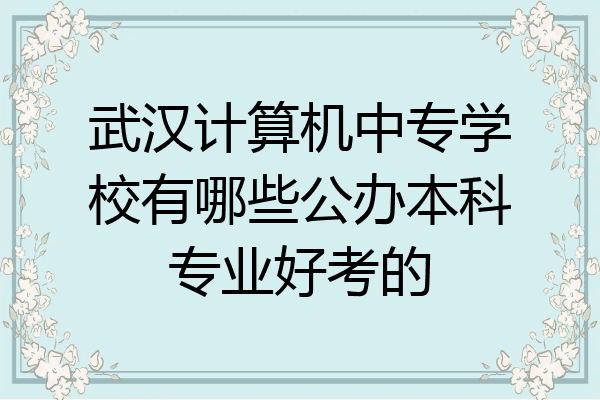 武汉计算机中专学校有哪些公办本科专业好考的