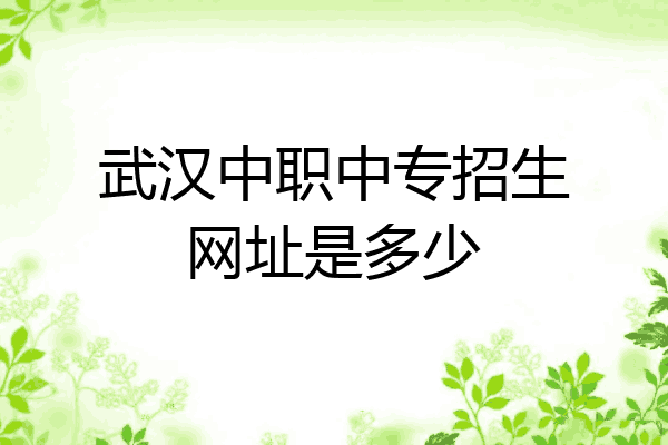 武汉中职中专招生网址是多少