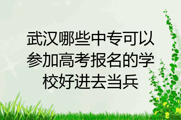武汉哪些中专可以参加高考报名的学校好进去当兵