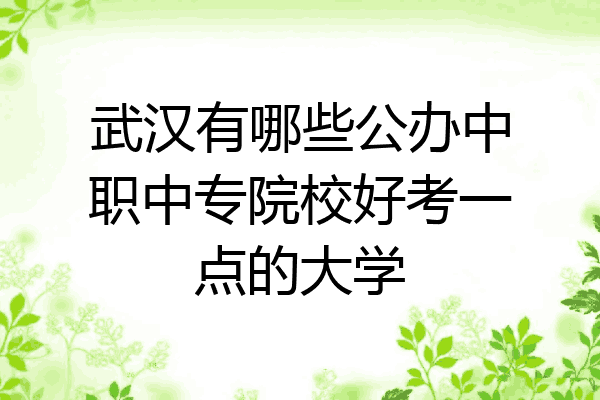 武汉有哪些公办中职中专院校好考一点的大学