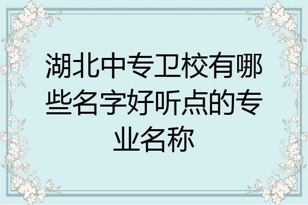 湖北中专卫校有哪些名字好听点的专业名称