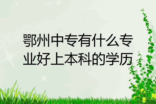 鄂州中专有什么专业好上本科的学历