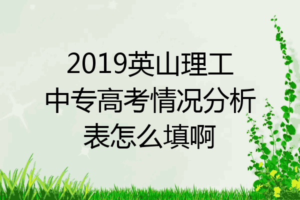 2019英山理工中专高考情况分析表怎么填啊