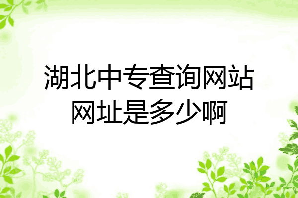 湖北中专查询网站网址是多少啊