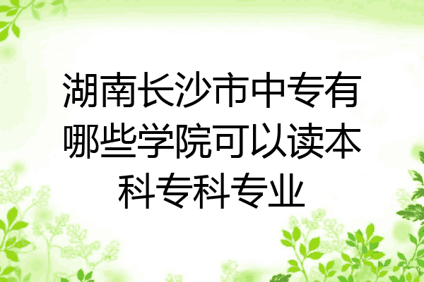 湖南长沙市中专有哪些学院可以读本科专科专业