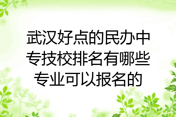武汉好点的民办中专技校排名有哪些专业可以报名的