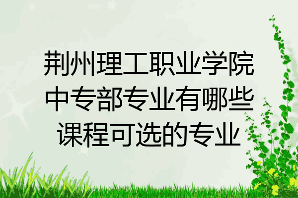 荆州理工职业学院中专部专业有哪些课程可选的专业