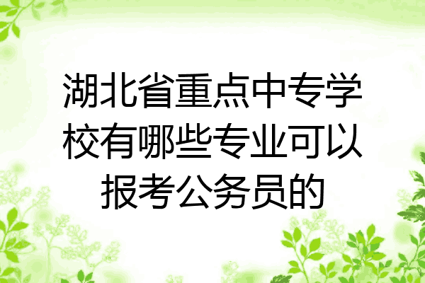 湖北省重点中专学校有哪些专业可以报考公务员的