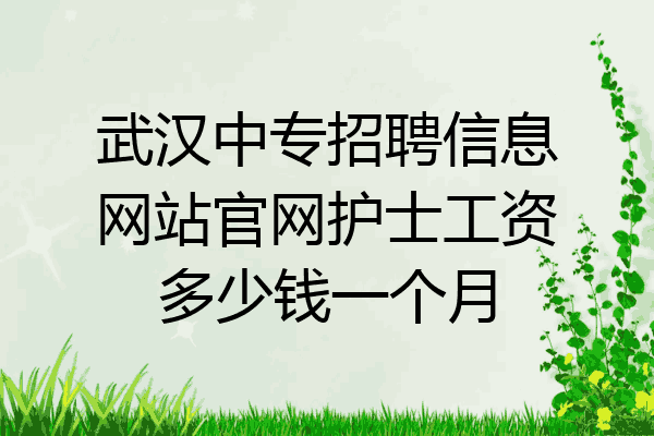 武汉中专招聘信息网站官网护士工资多少钱一个月