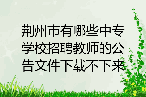 荆州市有哪些中专学校招聘教师的公告文件下载不下来