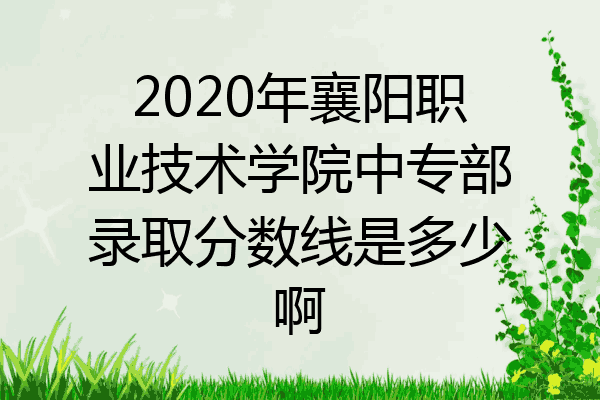 2020年襄阳职业技术学院中专部录取分数线是多少啊